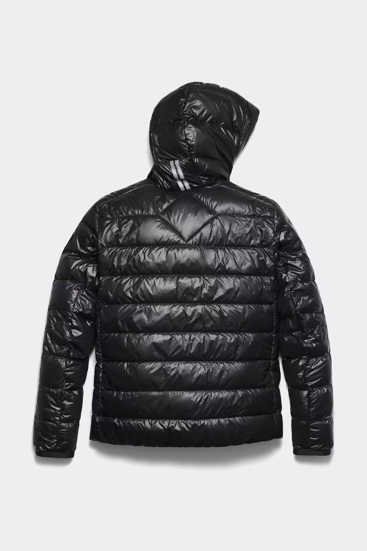 Essentiaal Goose-Crofton Jacke